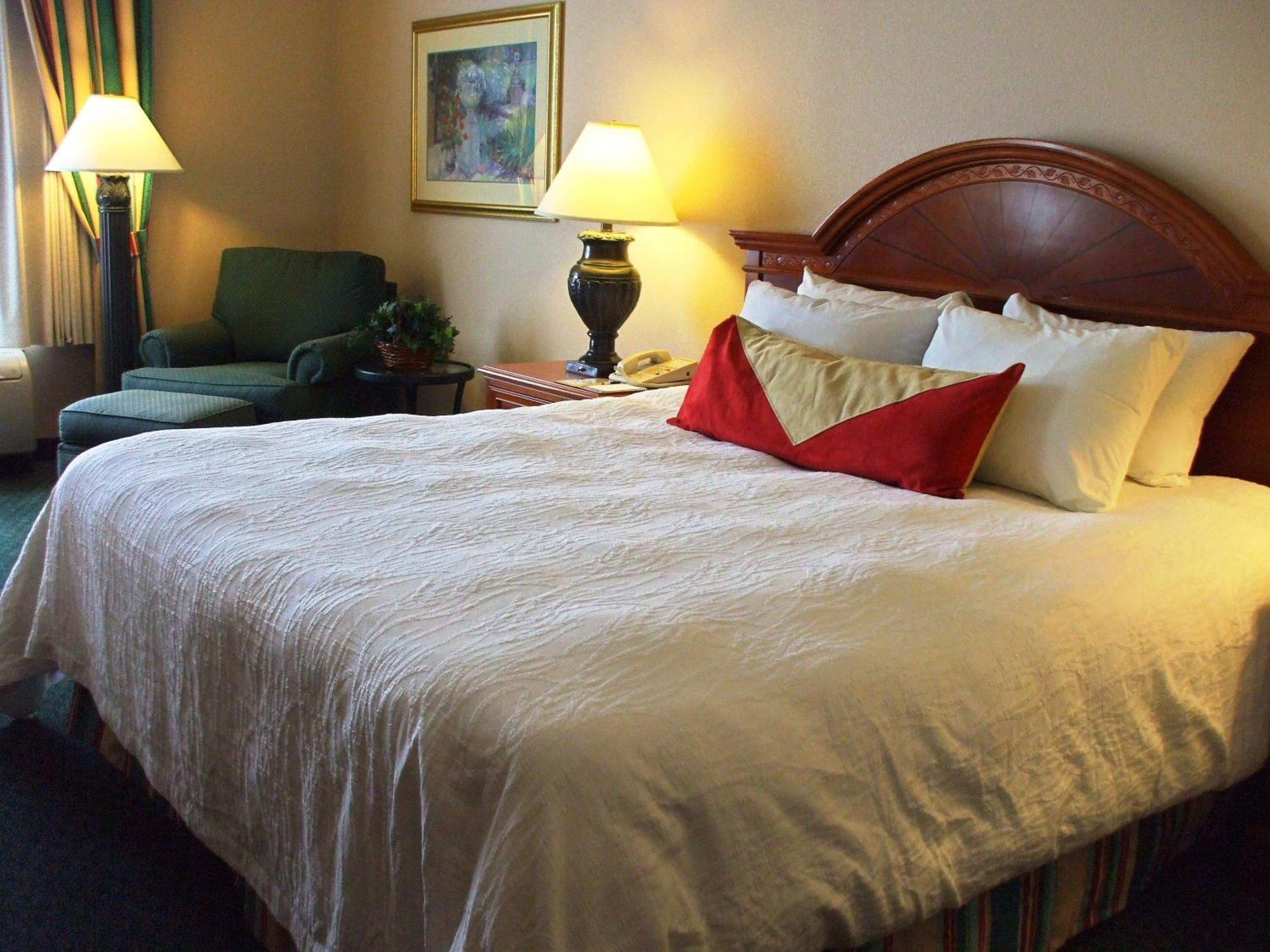 Hilton Garden Airport 3*