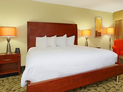 Hilton Garden Airport 3*